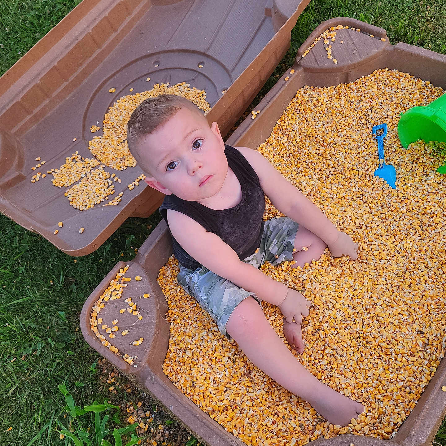 Finnley joined the competition — help win amazing prizes! baby, bean, corn, device, face, field, food, grain, grass, head, lentil, person, photography, plant, portrait, produce, shovel, snack, tool, vegetable