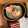 dog, puppy, pet, fluffy, small_dog, basket, bed, blanket, stuffed_animal, pink_toy, cozy, indoors, wood_floor, furniture, calendar, papers, home, resting, cute, top_down_view