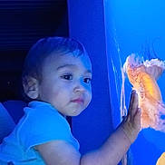 Rene Bolcao is registered to the contest to win money with this photo: arm, baby, blue_lighting, blue_shirt, child, close_up, curious, face, hand, home, indoor, person, plush_toy, portrait, reaching, short_hair, sitting, stuffed_animal, toddler, toy