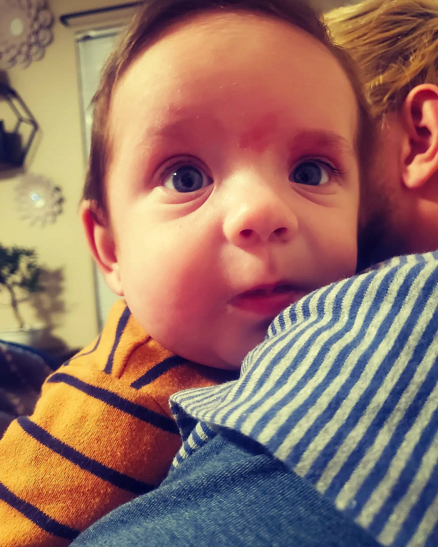 Riley is registered to the contest to win money with this photo: baby_toddler_clothing, cheek, chin, comfort, cool, ear, eyebrow, eyelash, finger, forehead, gesture, happy, iris, lip, mammal, mouth, nose, person, skin, sleeve