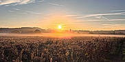 Hector a rejoint le concours — aidez-le/la à gagner de superbes lots ! sunrise, field, mist, dog, grass, nature, outdoor, sky, clouds, sun, morning, landscape, silhouette, animal, peaceful, rural, fog, path, plant, scenic