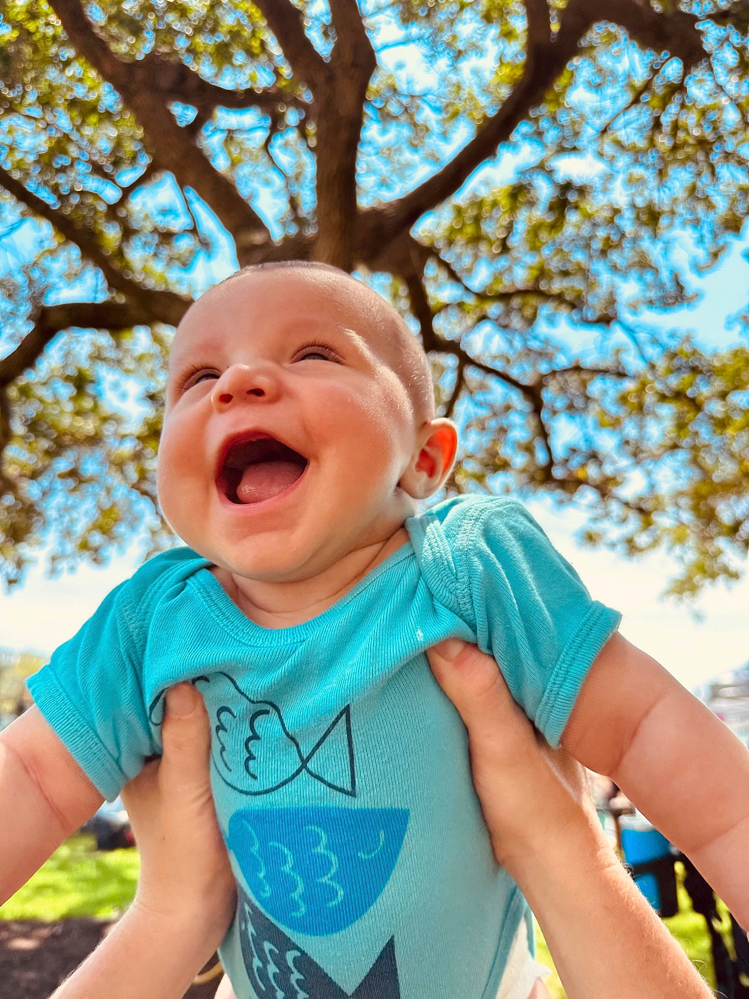Kaleb joined the competition — help win amazing prizes! arm, baby, baby_toddler_clothing, child, gesture, grass, hand, happy, leaf, leisure, outdoor_play_equipment, people_in_nature, person, recreation, sky, sleeve, smile, swing, t_shirt, toddler
