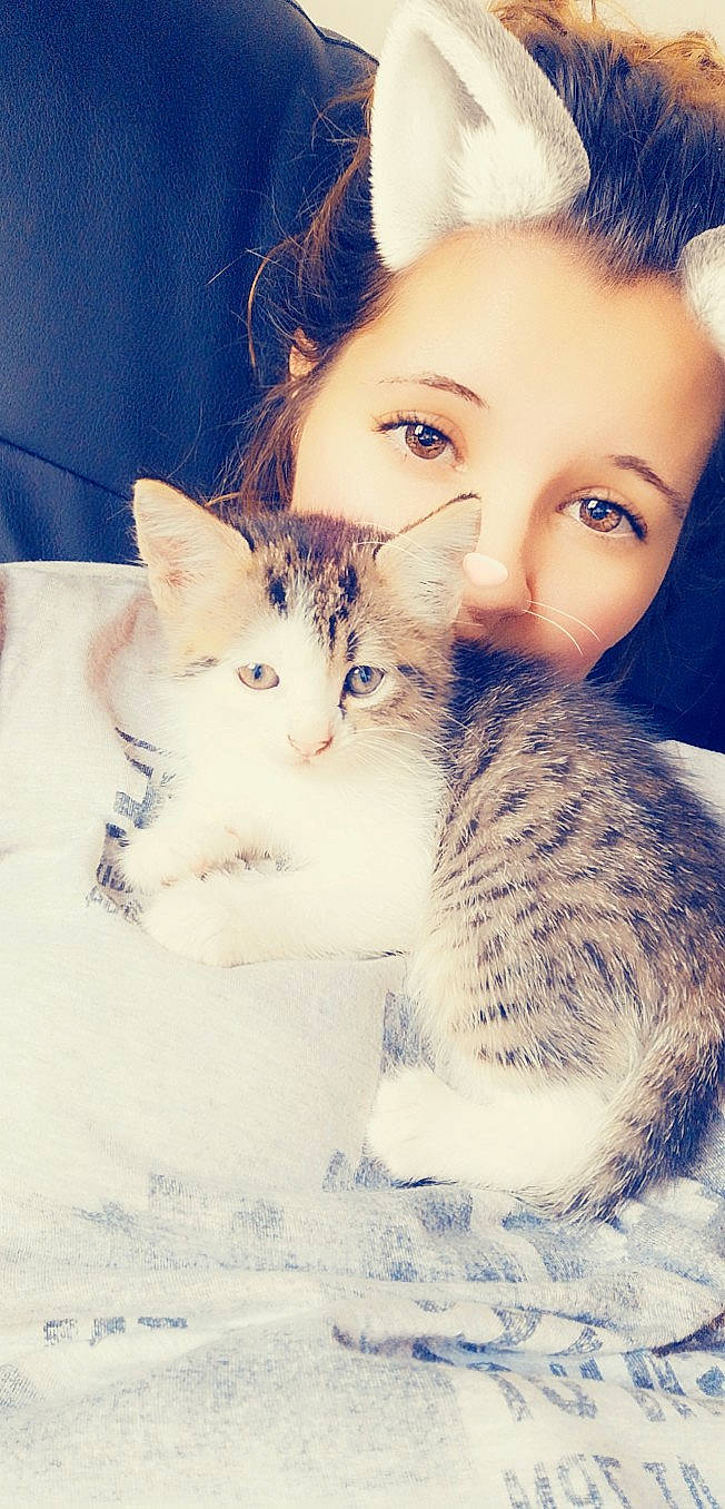 Shima a rejoint le concours — aidez-le/la à gagner de superbes lots ! aegean_cat, carnivore, cat, cheek, domestic_short_haired_cat, european_shorthair, eye, eyebrow, face, felidae, forehead, fur, kitten, nose, photography, skin, small_to_medium_sized_cats, snout, tabby_cat, whiskers