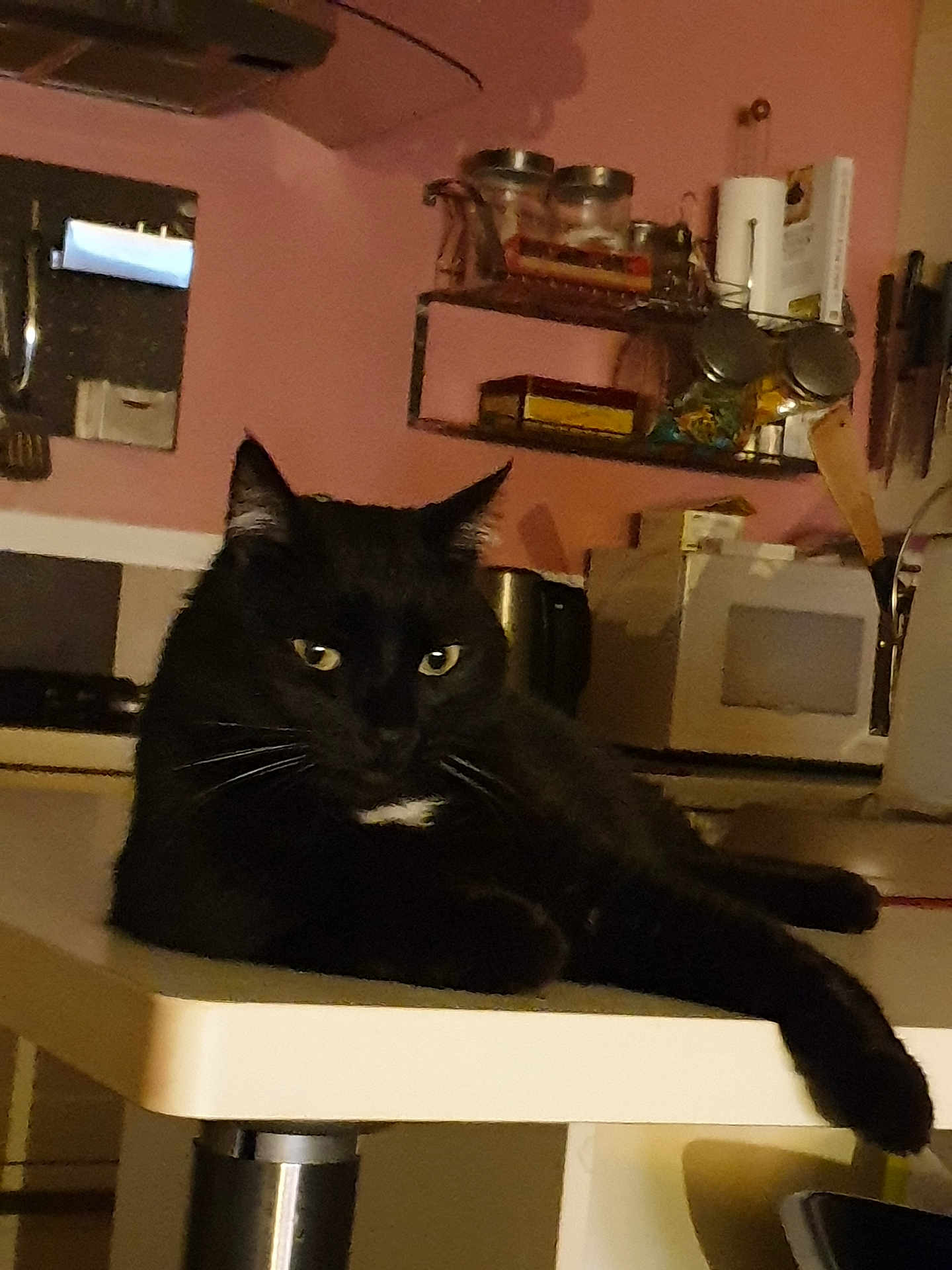 Reglisse