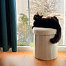cat, black_cat, feline, pet, animal, indoor, window, curtain, stool, furniture, wood_floor, sunlight, daylight, relaxing, resting, tail, cozy, home, domestic, nature_outside