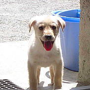 Moca participe au concours pour gagner de l'argent avec cette photo :