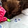 Lola