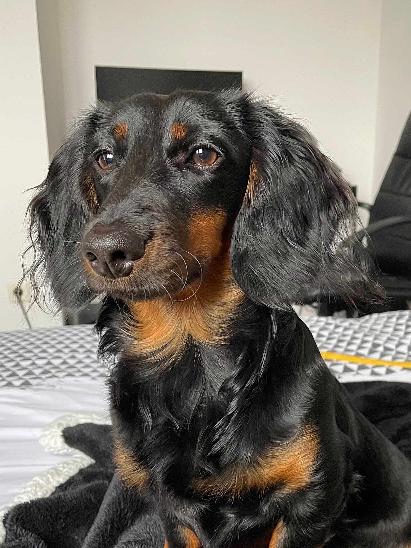 Milly