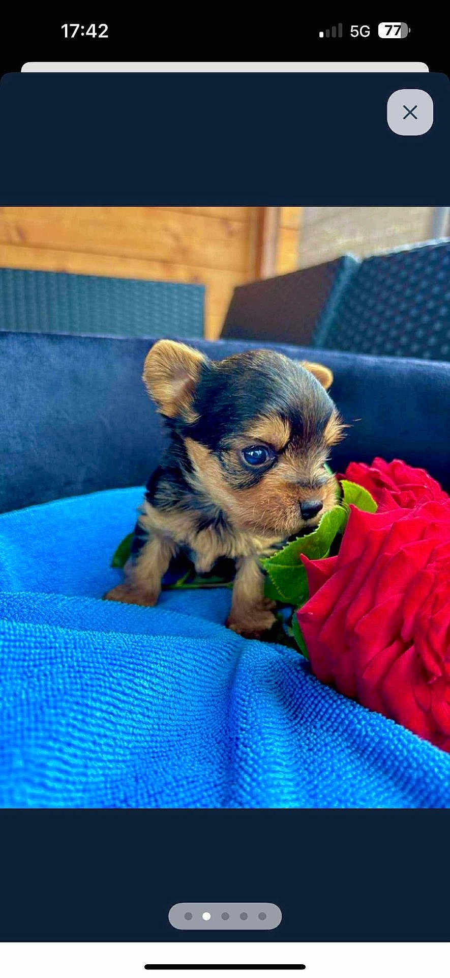 Milo