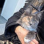 cat, fluffy_cat, pet, hand, puffer_jacket, tattoo, green_eyes, animal, indoor, leopard_print, paw, person, holding, fur, cute, portrait, close_up, clothing, warm, relaxed