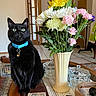 black_cat, cat, pet, collar, bell, blue_collar, sitting, indoors, living_room, bouquet, flowers, vase, yellow_flowers, white_flowers, pink_flowers, table, glass_containers, remote_control, home_decor, portrait