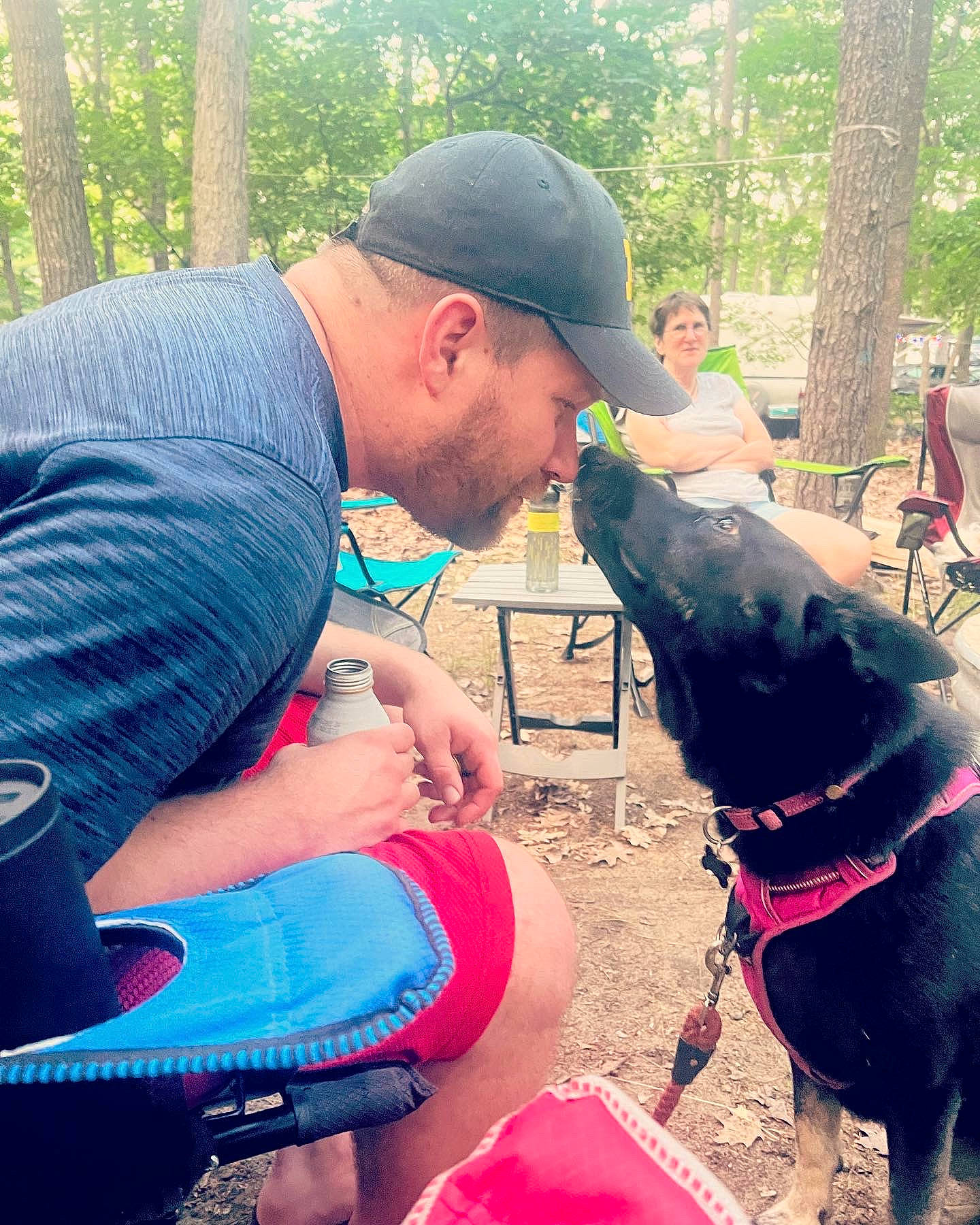 Harlee joined the competition — help win amazing prizes! adventure, baseball_cap, canidae, cap, carnivore, collar, companion_dog, dog, dog_breed, dog_collar, fashion_accessory, hat, leash, leisure, recreation, shorts, sporting_group, t_shirt, tree, working_animal