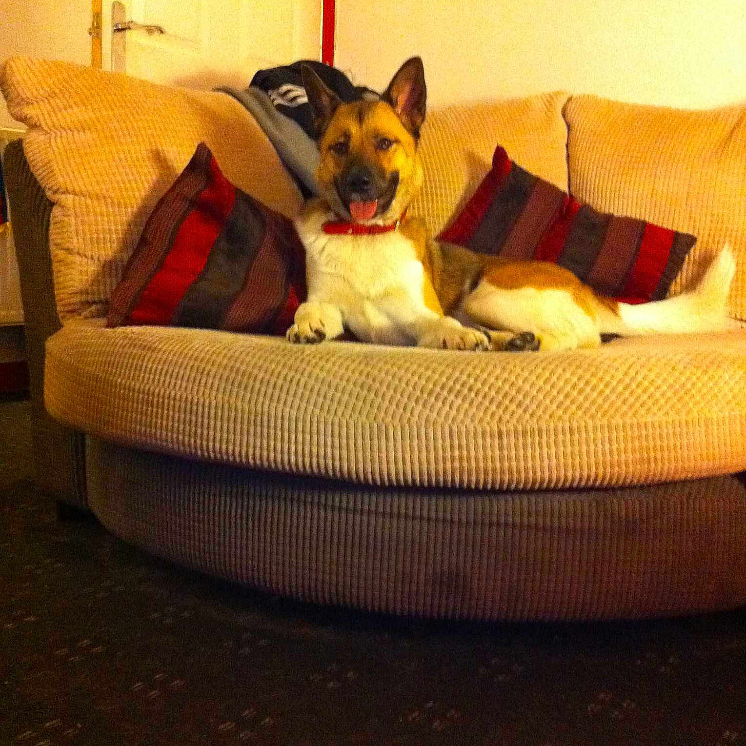 Kia is registered to the contest to win money with this photo: