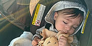 Oliver is registered to the contest to win money with this photo: baby, blanket, car_seat, child, closed_eyes, cozy, eyelashes, hand, harness, hoodie, lens_flare, nap, peaceful, plush_toy, sleeping, stuffed_animal, sunlight, toddler, toy_bunny, vehicle_interior