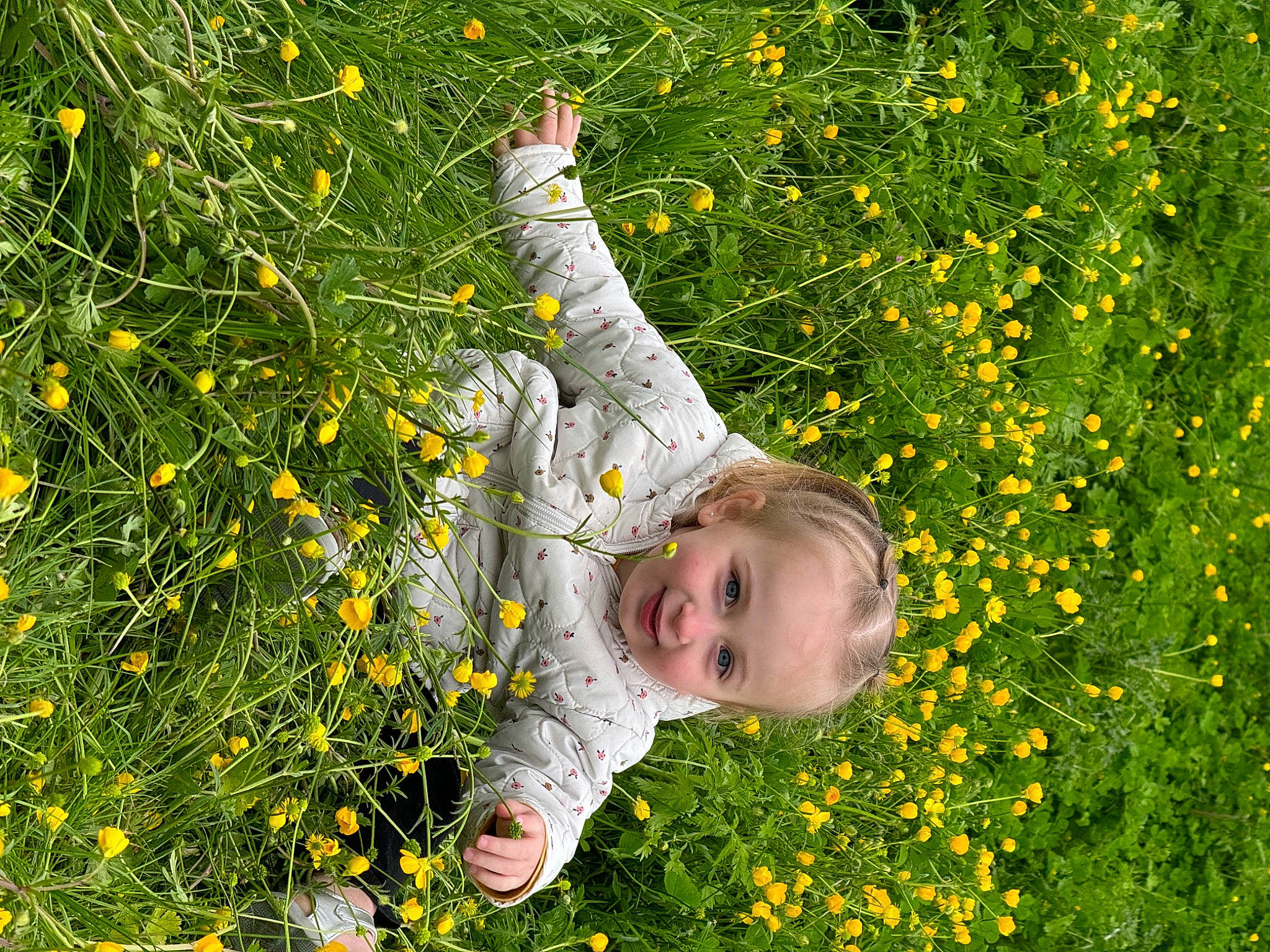 Lyana participe au concours pour gagner de l'argent avec cette photo : botany, field, flower, flowering_plant, grass, grass_family, grassland, groundcover, happy, herbaceous_plant, joy, leaf, meadow, nature, people_in_nature, person, plant, prairie, shrub, smile