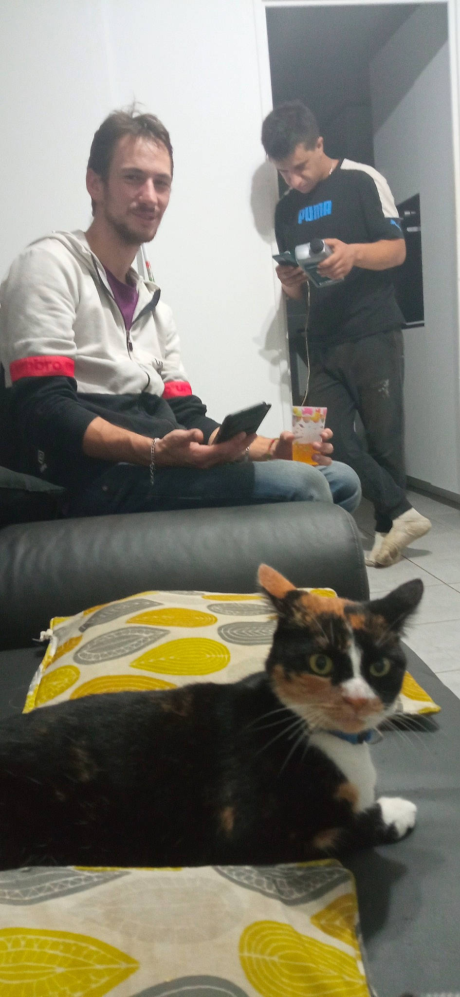 Schtroumpfette a rejoint le concours — aidez-le/la à gagner de superbes lots ! arm, bag, carnivore, cat, clothing, comfort, event, felidae, fur, gadget, jeans, lap, laptop, luggage_and_bags, sitting, small_to_medium_sized_cats, t_shirt, whiskers, white, yellow