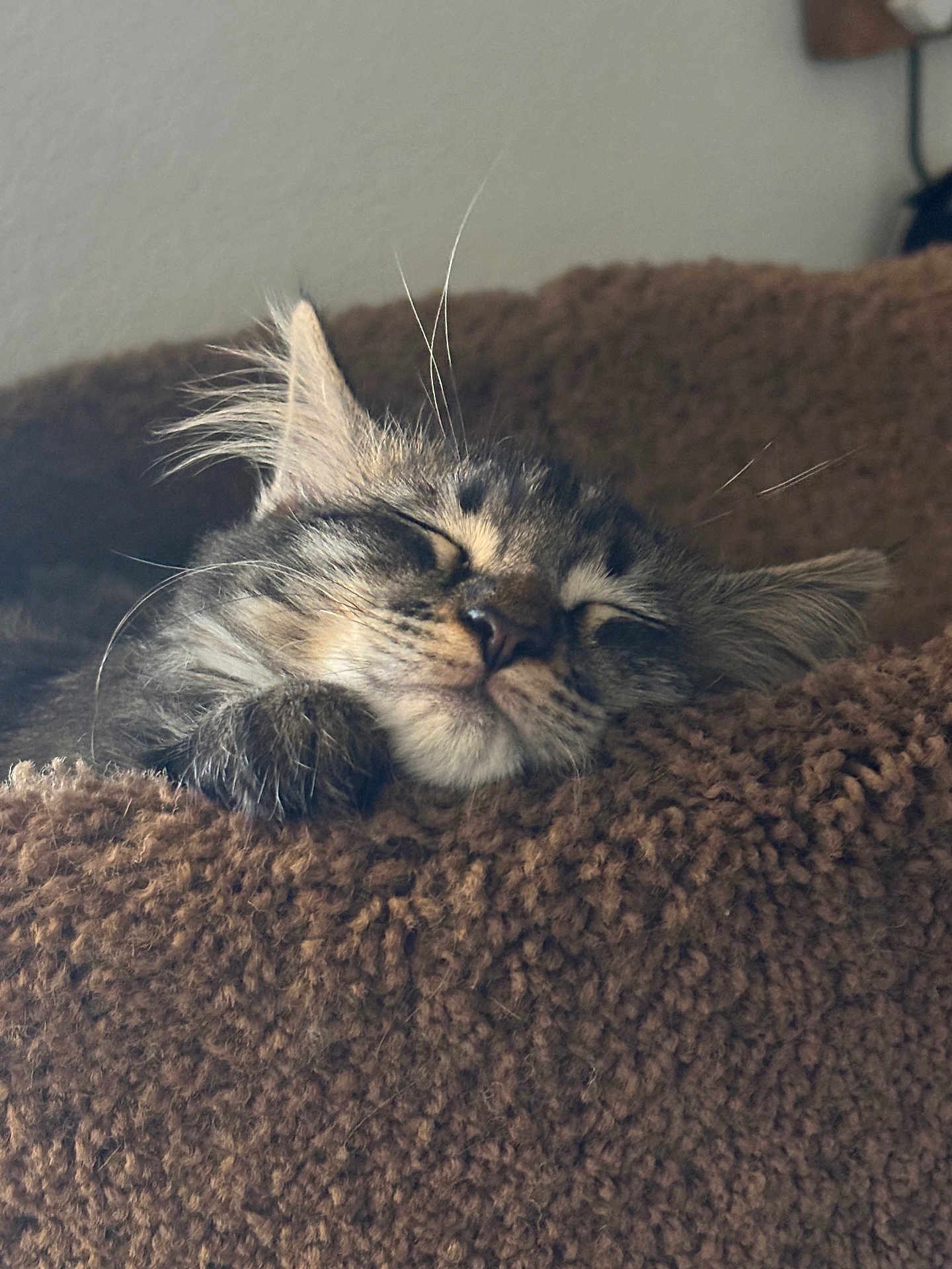 Muffin