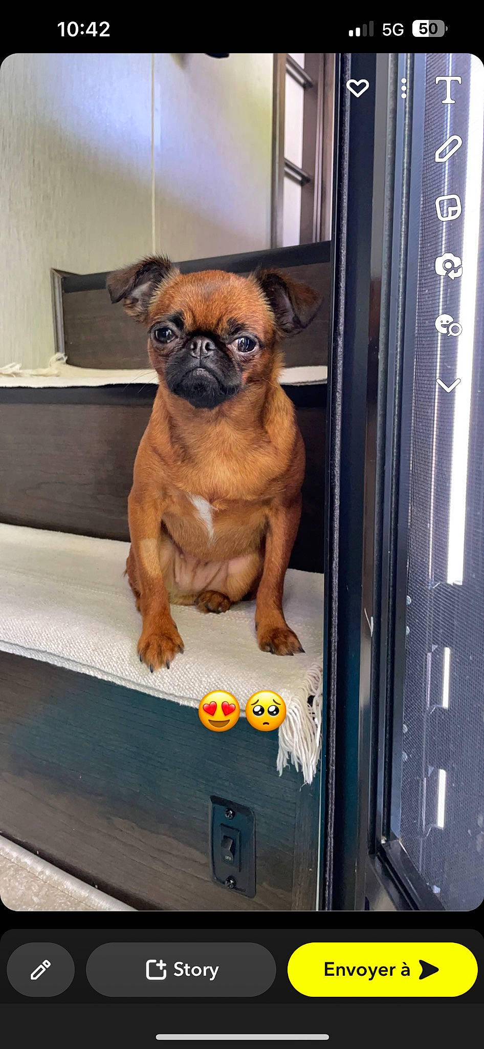 Schtroumpfette participe au concours pour gagner de l'argent avec cette photo : canidae, carnivore, companion_dog, dog, dog_breed, door, door_handle, fawn, fixture, gas, liver, non_sporting_group, pug, snout, sporting_group, terrestrial_animal, toy_dog, wood, working_animal, wrinkle