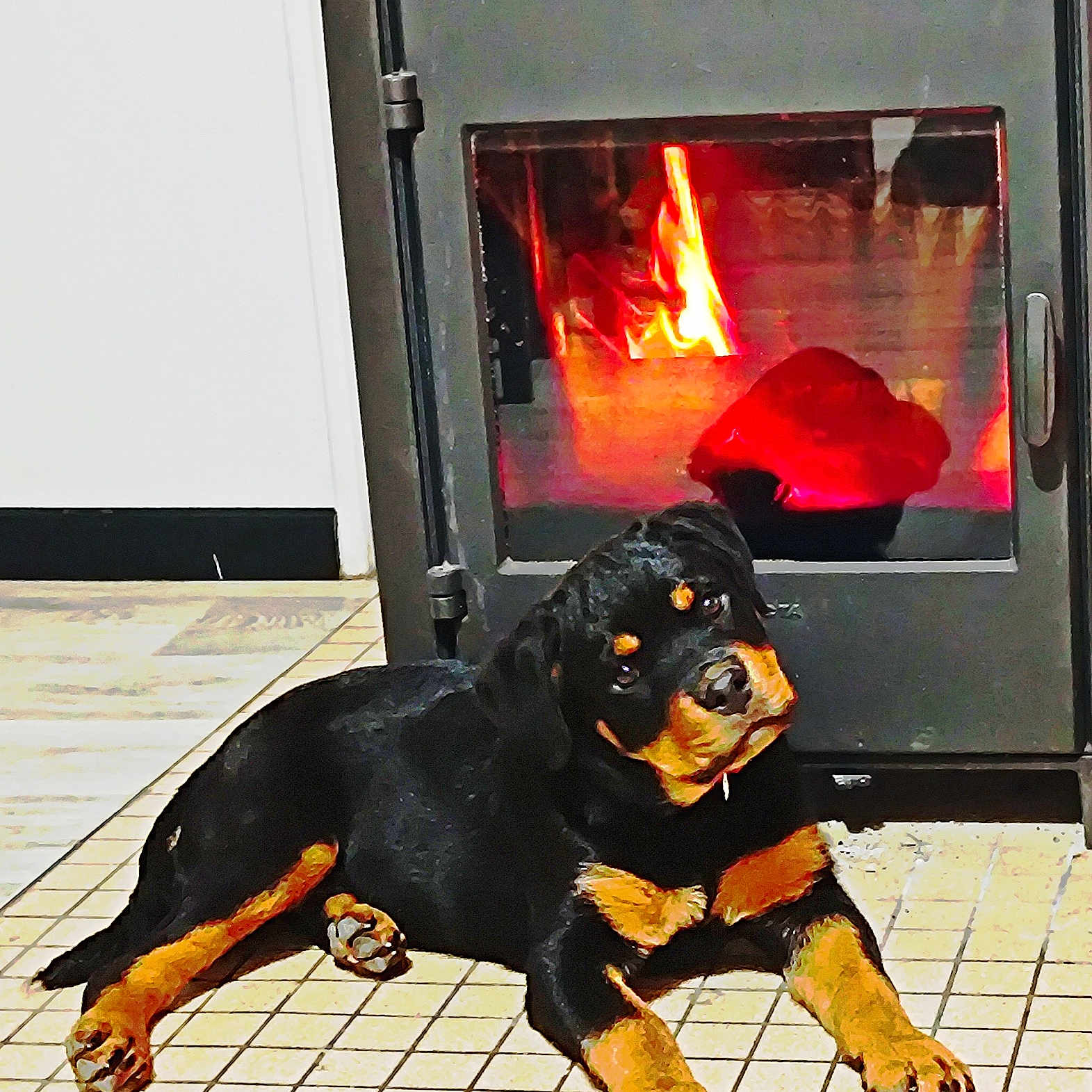 Venus participe au concours pour gagner de l'argent avec cette photo : animal, black_and_tan, canine, cozy, cute, dog, fire, fireplace, fur, home, indoor, paw, pet, puppy, relaxing, resting, rottweiler, tile_floor, warmth, young_dog