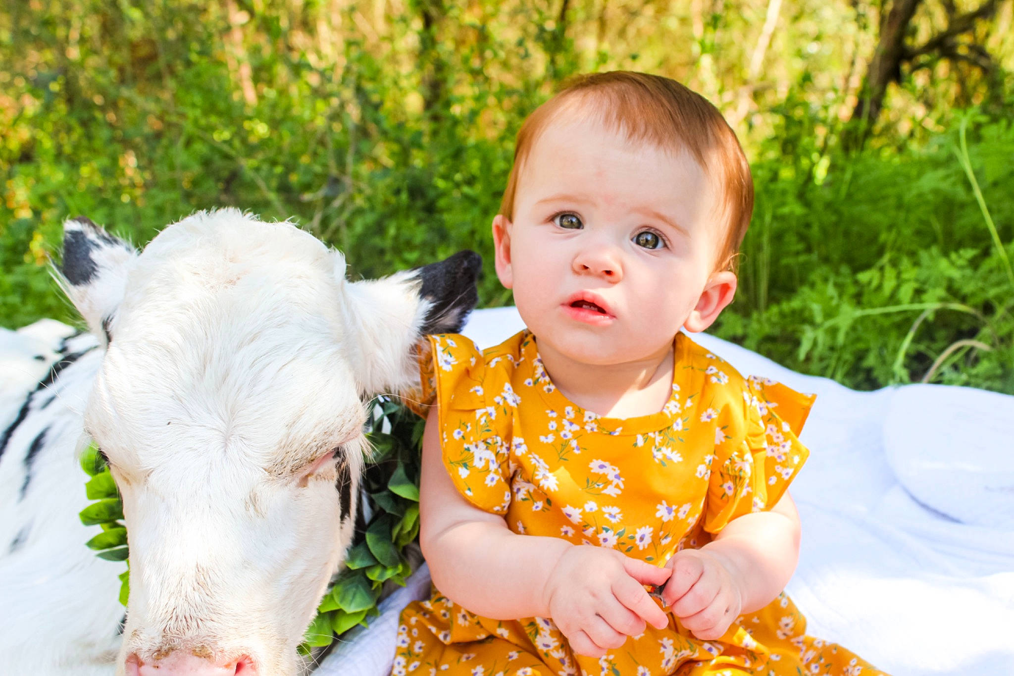 Emma joined the competition — help win amazing prizes! adaptation, baby, baby_toddler_clothing, child, dress, face, grass, happy, human_body, iris, mammal, nose, people_in_nature, person, photograph, plant, skin, t_shirt, toddler, working_animal