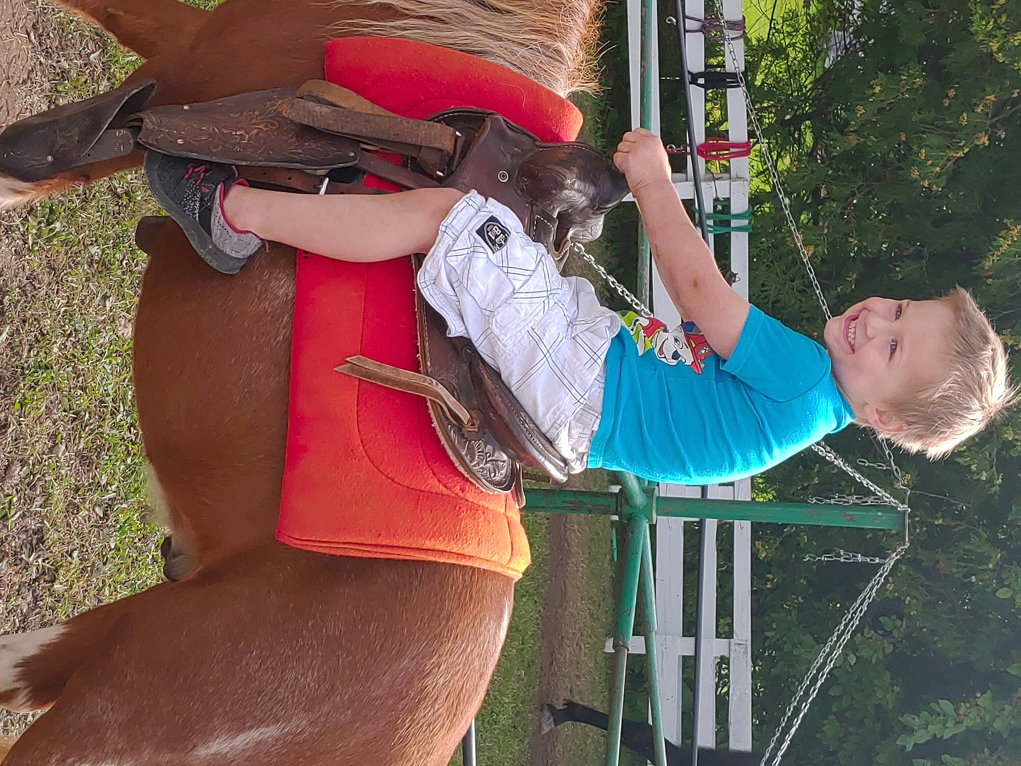 Kristopher joined the competition — help win amazing prizes! abdomen, belt, elbow, fashion_accessory, fun, grass, hat, human_leg, joy, leisure, magenta, person, plant, recreation, red, shorts, string_instrument, t_shirt, thigh, tree