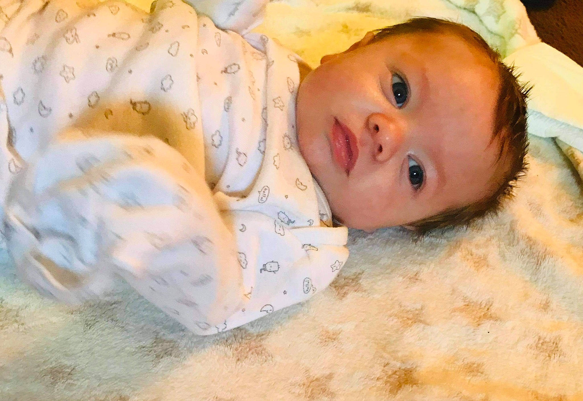 Jason Jr joined the competition — help win amazing prizes! baby, baby_toddler_clothing, bedtime, cheek, child, comfort, dress, eye, face, fur, grass, happy, hat, iris, linens, nose, pattern, person, portrait_photography, skin