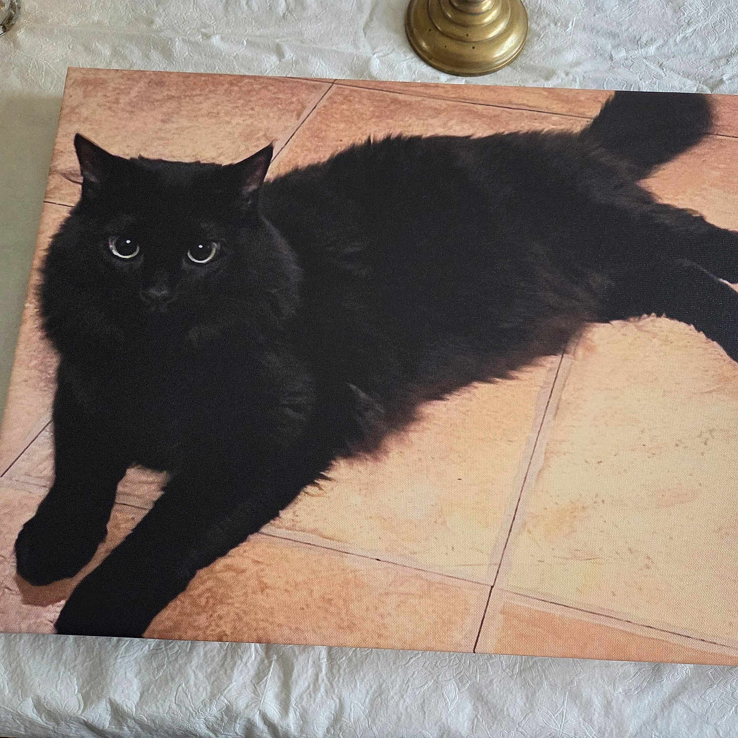 Kitty