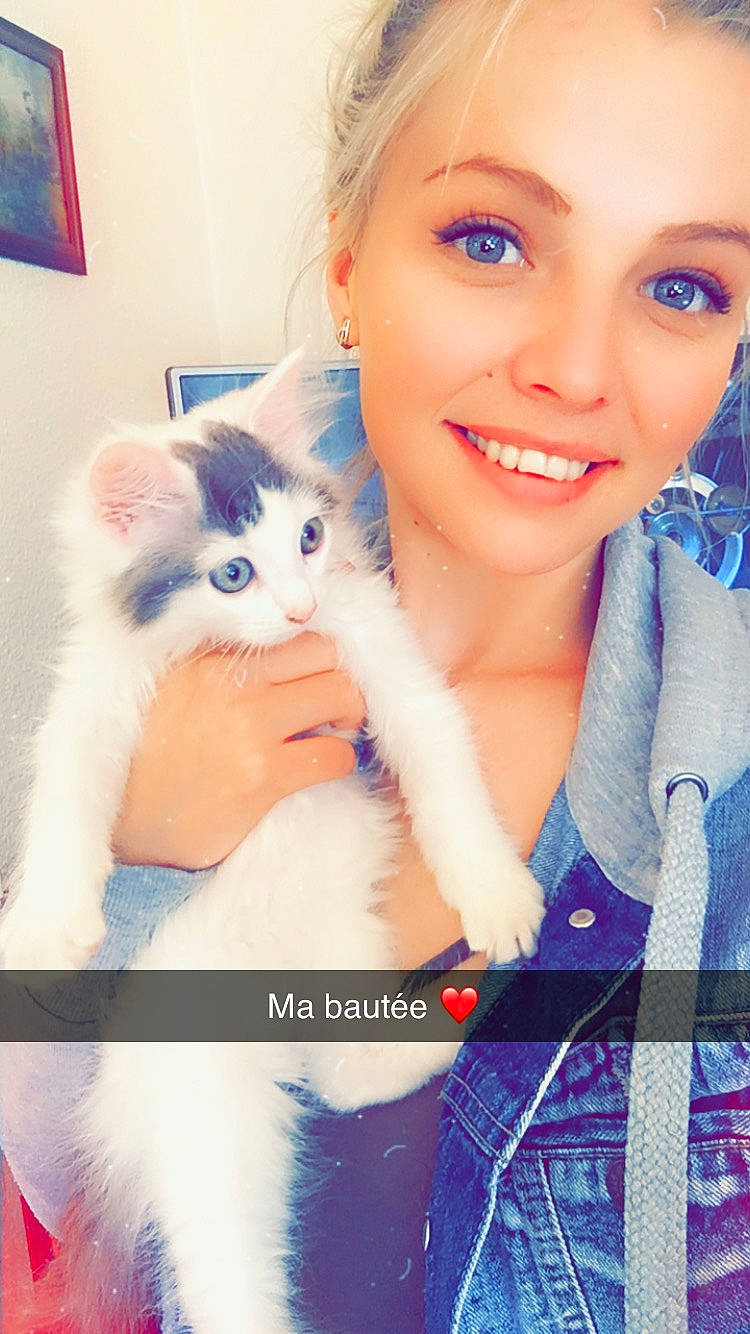 Bella a rejoint le concours — aidez-le/la à gagner de superbes lots ! british_longhair, carnivore, cat, felidae, fur, gesture, kitten, nose, ojos_azules, persian, photography, ragdoll, selfie, siberian, small_to_medium_sized_cats, whiskers