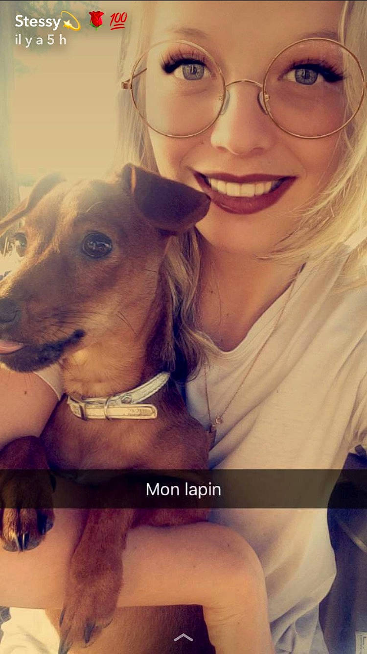 Pato participe au concours pour gagner de l'argent avec cette photo : blond, canidae, carnivore, companion_dog, dog, dog_breed, fawn, nose, photography, puppy_love, selfie, smile, snout