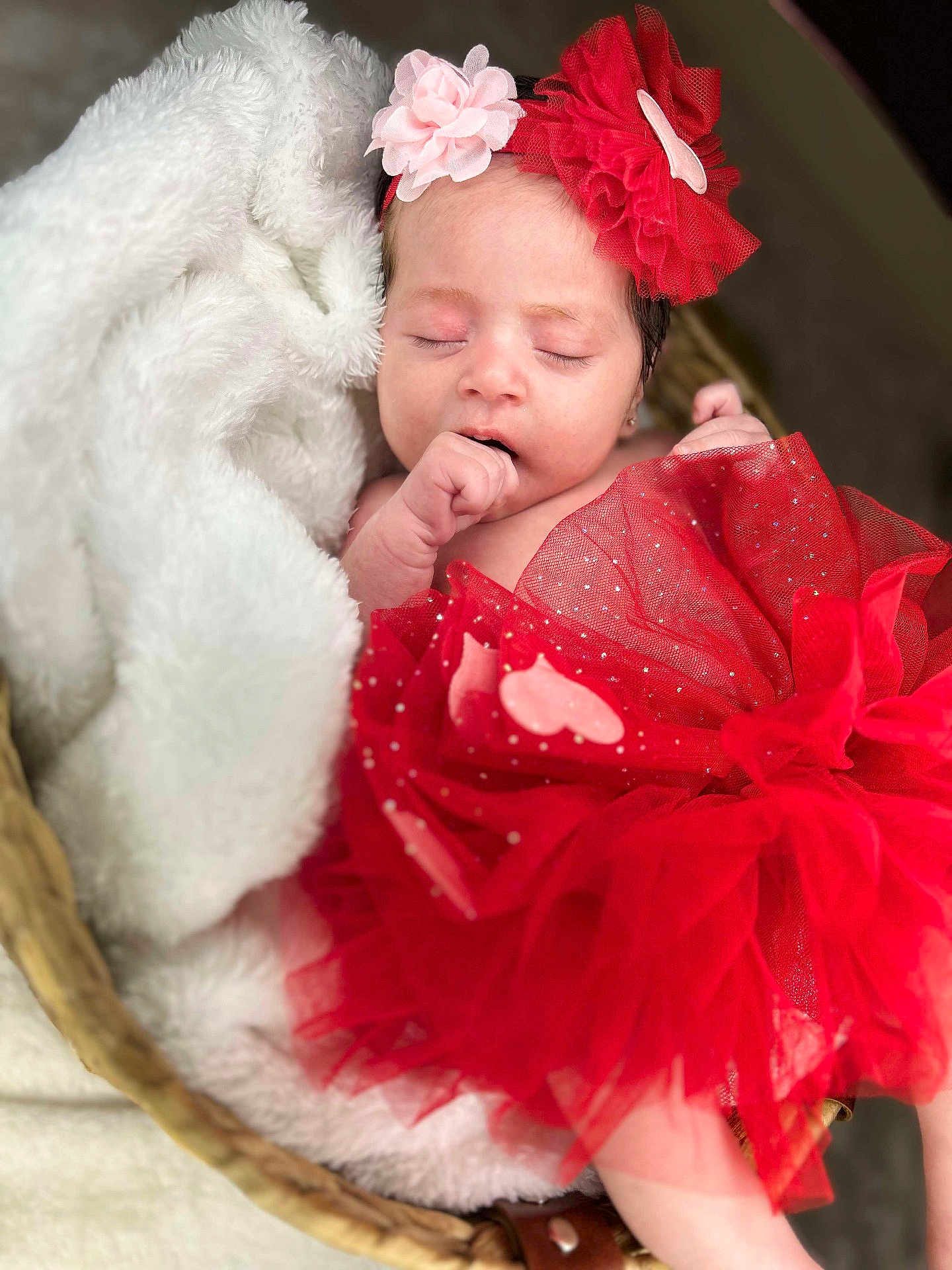 Shaniyah Avangelina is registered to the contest to win money with this photo: baby, sleeping, red_dress, headband, flower, blanket, basket, tutu, infant, cute, peaceful, soft_texture, portrait, newborn, cozy, resting, child, adorable, wrapped, clothing
