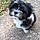 Anouk
