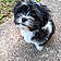 Anouk