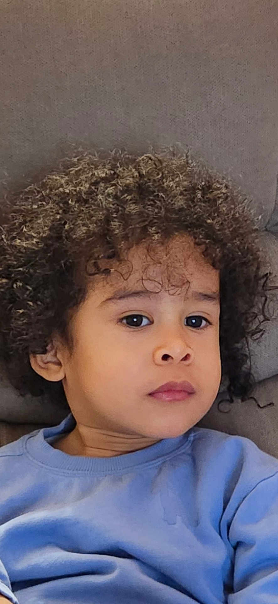 Joab participe au concours pour gagner de l'argent avec cette photo : child, curly_hair, blue_sweatshirt, couch, indoor, portrait, face, young, person, casual_clothing, relaxed, seated, expression, looking_away, skin, head_and_shoulders, home, comfortable, young_child, cozy