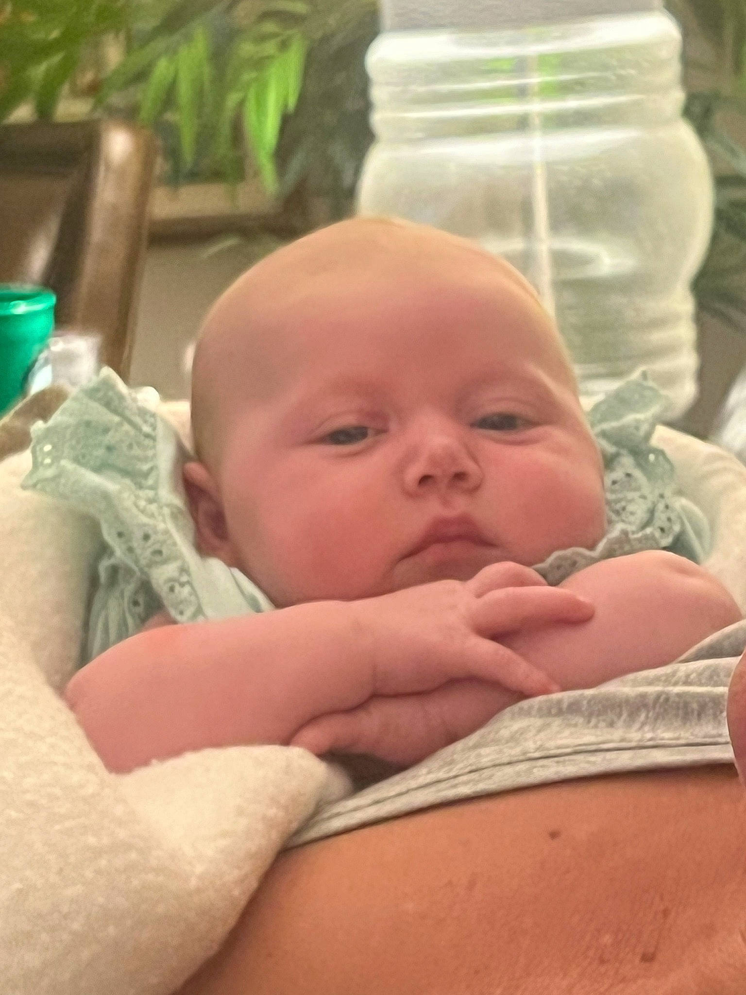 Alaina is registered to the contest to win money with this photo: abdomen, baby, cheek, chin, comfort, eye, eyebrow, face, finger, gesture, green, hand, head, human_body, mouth, nose, person, plant, skin, thumb