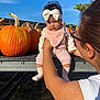 Maddison joined the competition — help win amazing prizes! baby, infant, person, adult, pumpkin, pumpkin_patch, outdoor, daylight, headband, pink_clothing, table, metal, glasses, holding, autumn, fall, sky, nature, cute, child
