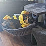 cat, calico_cat, costume, bee_costume, cat_tree, hammock, indoor, wooden_floor, furniture, pet, animal, cozy, relaxing, yellow, black, green_eyes, whiskers, home, light, clutter