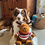 dog, plush_toy, reindeer, stuffed_animal, floor, wooden_cabinet, basket, home_interior, curtains, tile_floor, pet, brown_and_white, toy, decor, cozy, animal, relaxed, indoor, cute, christmas_sweater