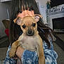 Freya is registered to the contest to win money with this photo: child, puppy, dog, pet, indoor, portrait, holding, cute, young, girl, face, eyes, hair, cozy, fireplace, sweater, carpet, furniture, home, looking