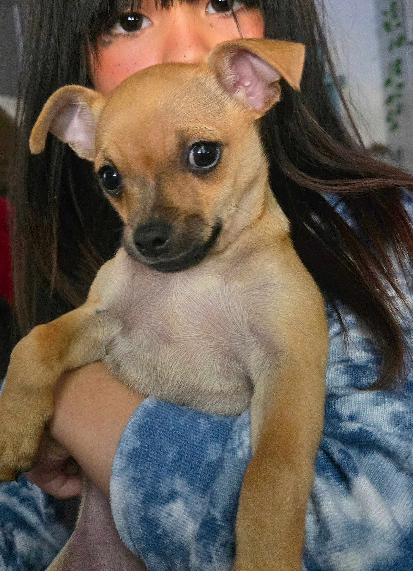Freya