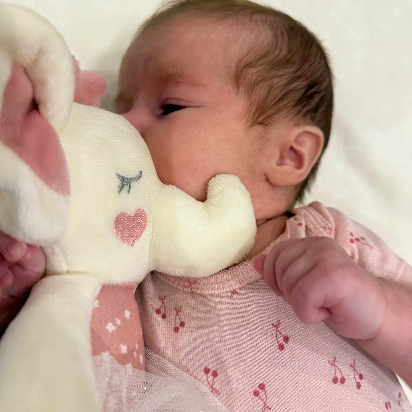 Esmerelda is registered to the contest to win money with this photo: baby, child, closeup, comfort, cute, elephant, fabric, face, hand, heart, infant, newborn, onesie, pattern, pink_clothing, plush_toy, sleepy, snuggling, soft_toy, toy