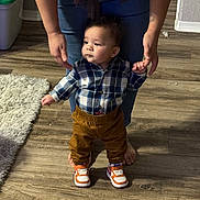 Adrian is registered to the contest to win money with this photo: toddler, child, adult_hands, plaid_shirt, brown_pants, sneakers, dog, wooden_floor, rug, indoor, home, support, standing, person, footwear, casual_clothing, pet, animal, curious, human