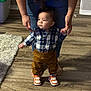 toddler, child, adult_hands, plaid_shirt, brown_pants, sneakers, dog, wooden_floor, rug, indoor, home, support, standing, person, footwear, casual_clothing, pet, animal, curious, human