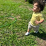 toddler, child, curly_hair, yellow_shirt, beige_shorts, white_shoes, grass, sunny, outdoor, garden_hose, greenery, walking, squinting, person, background, lawn, summer, daylight, nature, yard