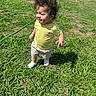 toddler, child, grass, outdoor, sunlight, yellow_shirt, shorts, white_shoes, curly_hair, shadow, playful, summer, nature, yard, person, standing, greenery, casual_clothing, happy, daytime