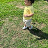 toddler, child, grass, outdoor, sunlight, yellow_shirt, shorts, white_shoes, curly_hair, shadow, nature, play, summer, casual_clothing, side_view, person, walking, greenery, yard, daytime