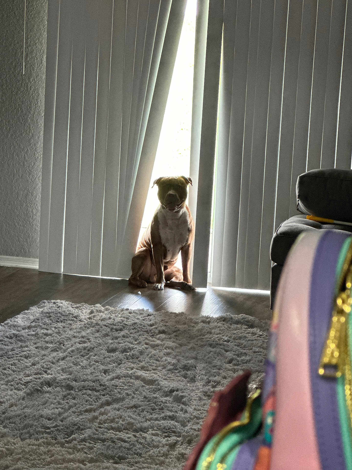 Rico