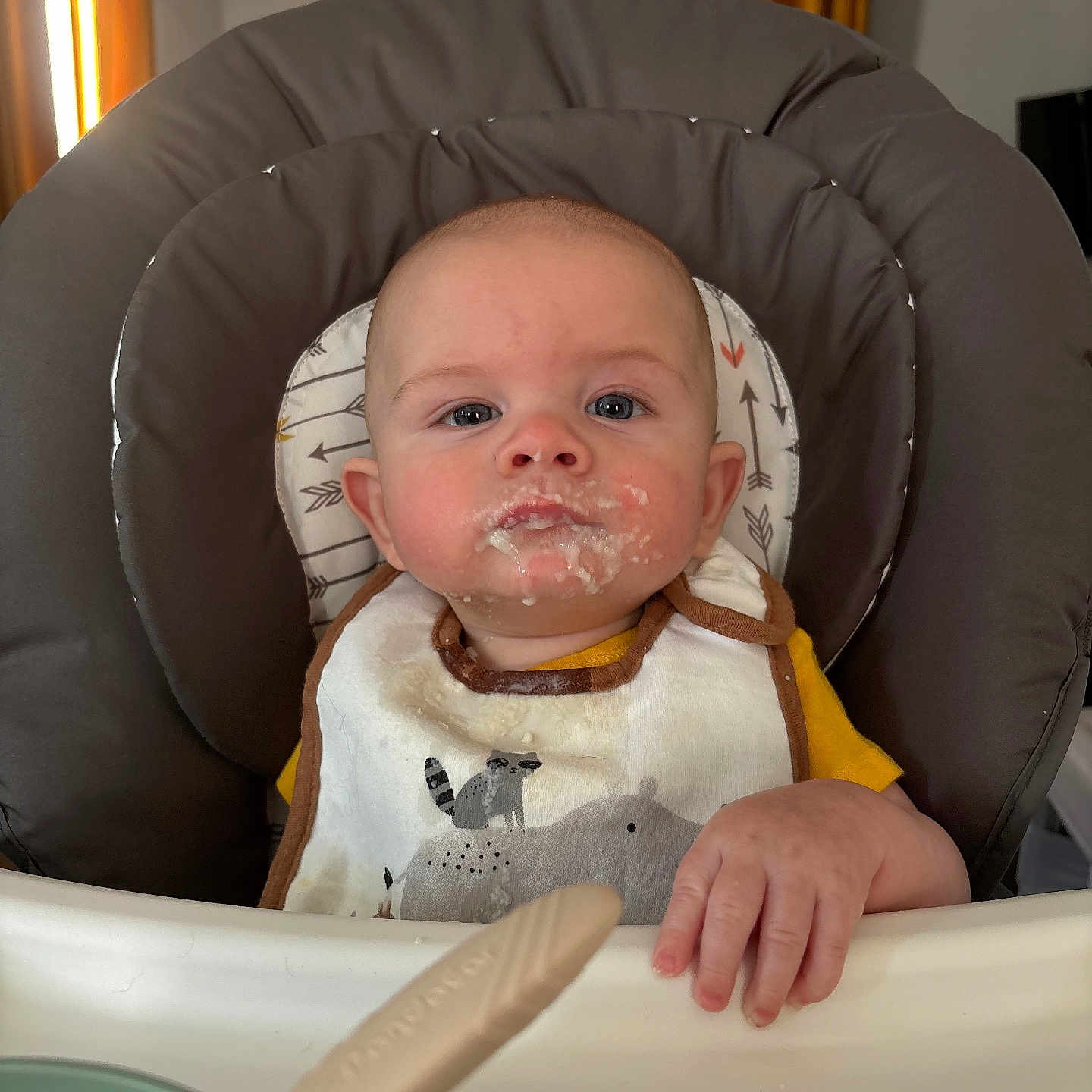 Derecho joined the competition — help win amazing prizes! baby, bib, child, curious, cute, dining, expression, face, feeding, food, hand, high_chair, indoor, infant, meal_time, messy, person, spoon, table, young_child