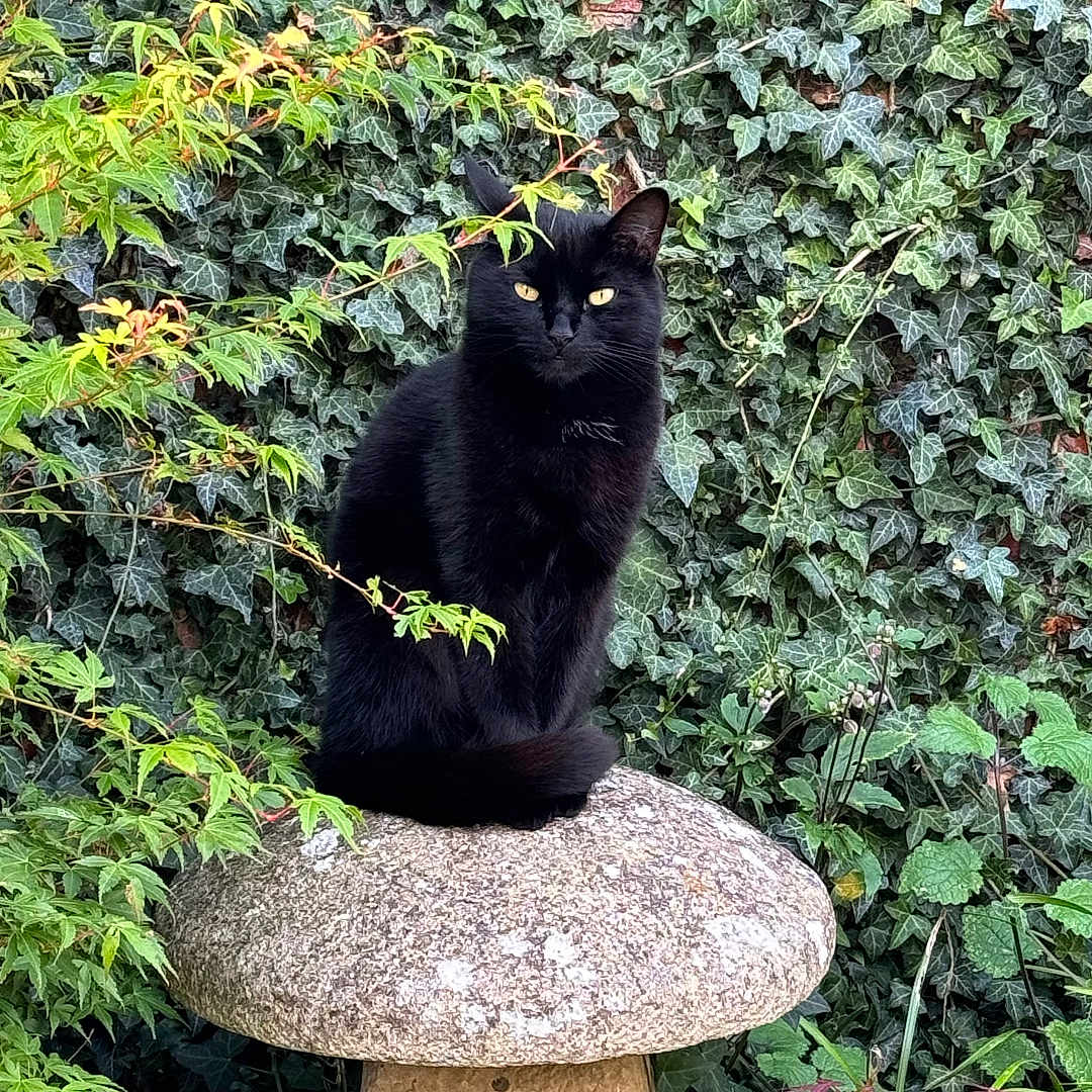 Bruce
