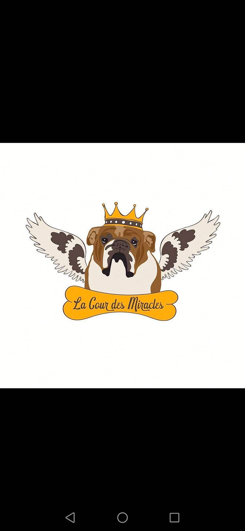 P'Tit Louis a rejoint le concours — aidez-le/la à gagner de superbes lots ! accipitridae, accipitriformes, art, automotive_decal, bird_of_prey, brand, crest, eagle, emblem, falconiformes, fashion_accessory, font, graphic_design, graphics, illustration, logo, mythical_creature, sleeve, symbol, wing