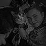 person, cat, selfie, indoor, blanket, lying_down, pet, animal, face, portrait, cozy, feline, companion, resting, dark, monochrome, cute, closeup, casual, relax